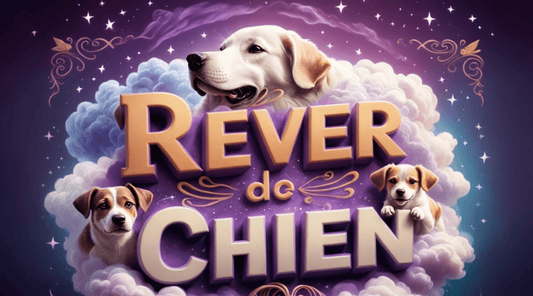 Rêver de chien : Interprétation et signification