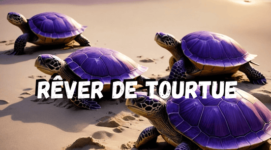 Rever de tortue : Interpretation et signification