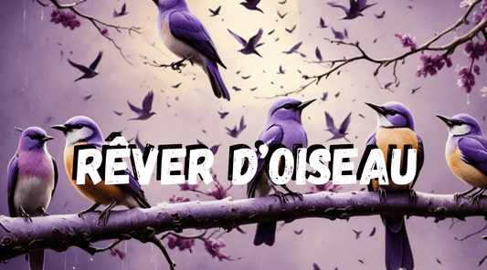 Rêver d'oiseau : Signification et interprétation 🐦