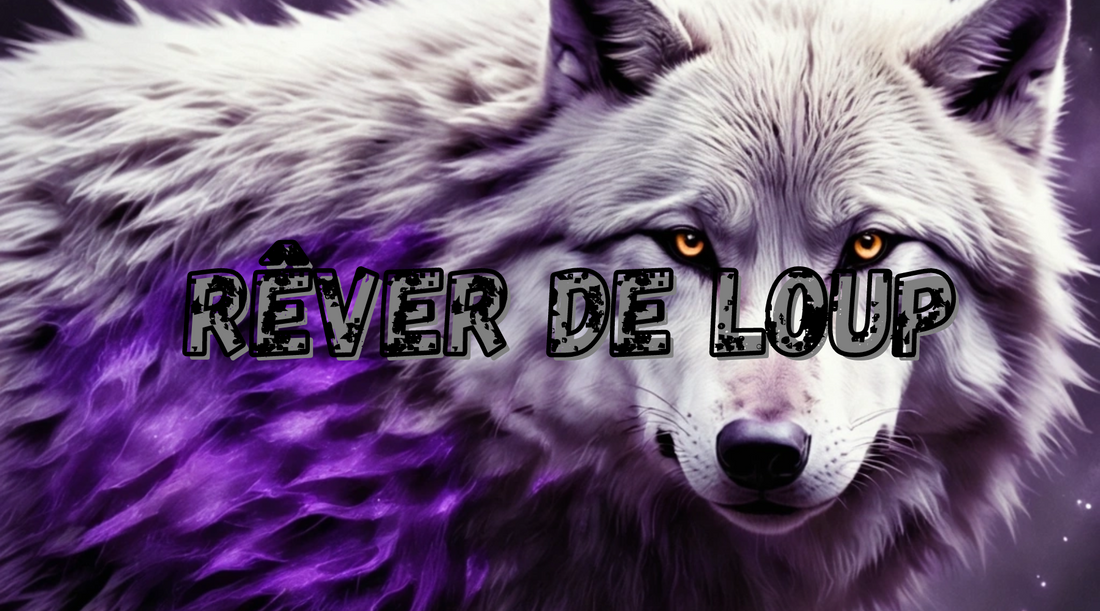 Rêver de loup : Signification et interprétation 🐺