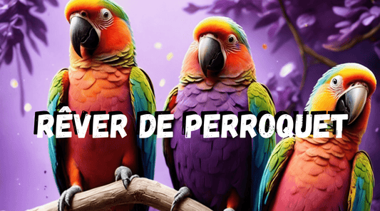 Rever de Perroquet : Interpretation et signification