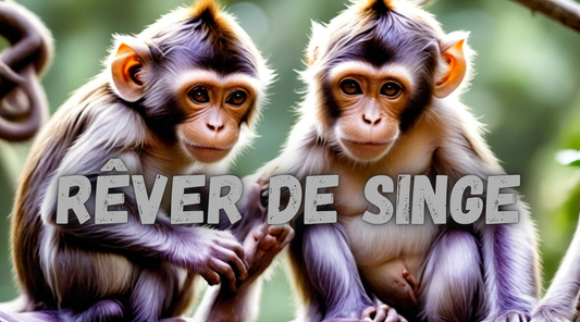 Déchiffrer les Rêves de Singe : Signification et Interprétation Complètes ! 🐒