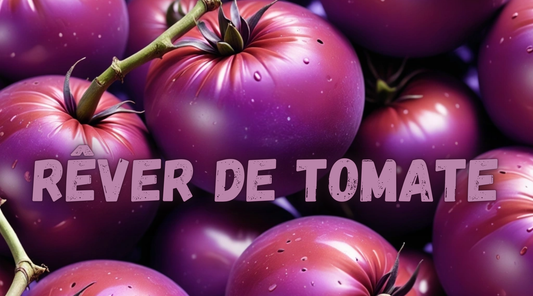 Rêver de tomate : Signification et interprétation 🍅